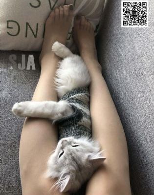 91私拍视频_BD英语韩国电影在线观看